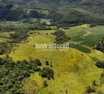Fazenda, 17 hectares - Foto 3