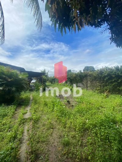 Chácara, 1 quarto, 900 m² - Foto 2