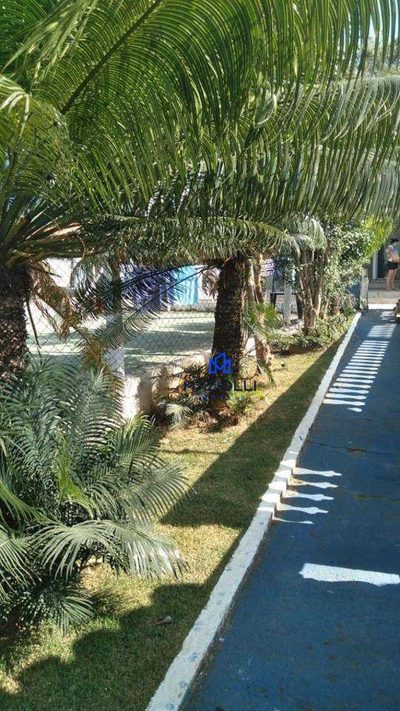 Chácara, 3 quartos - Foto 3