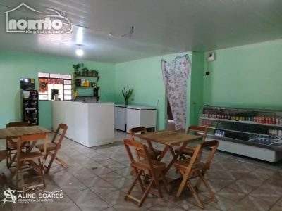 Casa, 6 quartos, 280 m² - Foto 5