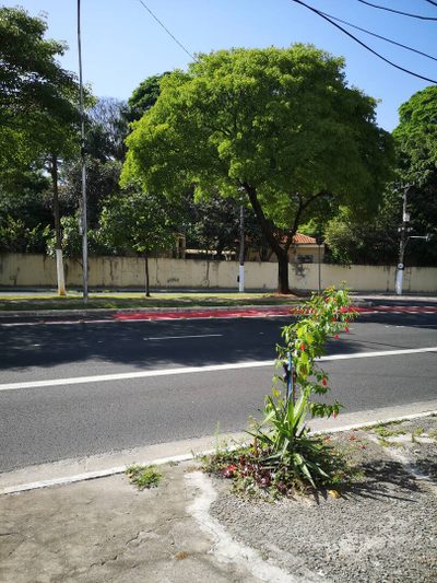 Casa, 2 quartos, 90 m² - Foto 5