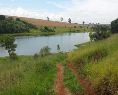 Fazenda, 200 m² - Foto 5
