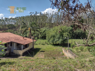Sítio, 3 quartos, 80 hectares - Foto 4
