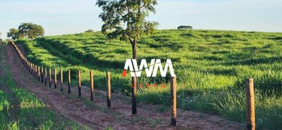 Fazenda, 1240 hectares - Foto 2