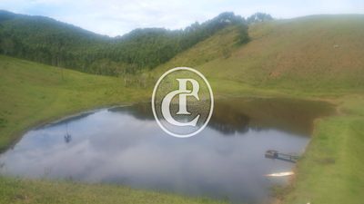 Sítio, 3 quartos, 34 hectares - Foto 1