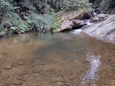 Sítio, 2 quartos, 100 m² - Foto 2