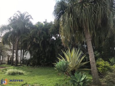 Terreno, 726 m² - Foto 3
