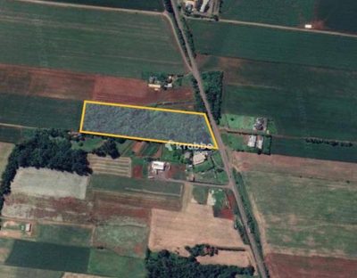 Terreno, 3 hectares - Foto 3