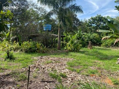 Casa - Foto 3