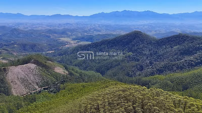 Fazenda, 252 hectares - Foto 1