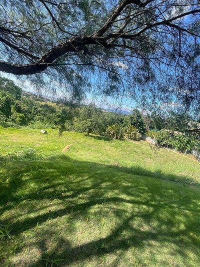 Terreno, 800 m² - Foto 3