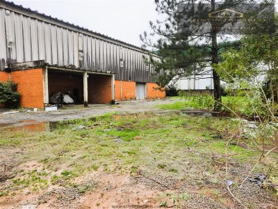 Depósito-Galpão, 3707 m² - Foto 3