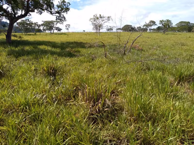 Fazenda, 110 m² - Foto 5