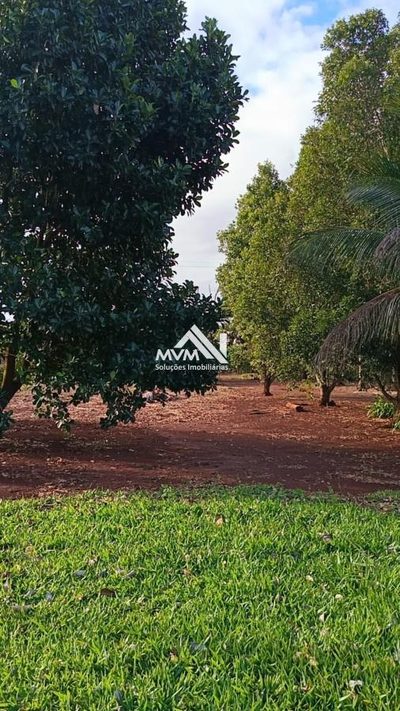 Chácara, 3 quartos, 9 hectares - Foto 3