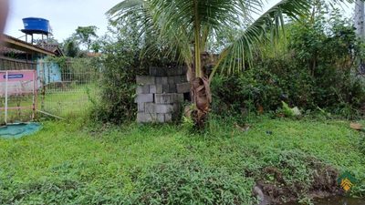 Terreno - Foto 1