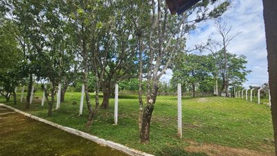 Chácara, 3 quartos, 7 hectares - Foto 4