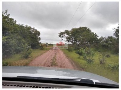 Fazenda, 1 hectares - Foto 2