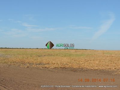 Terreno, 3 hectares - Foto 2