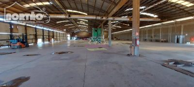 Casa, 3200 m² - Foto 4