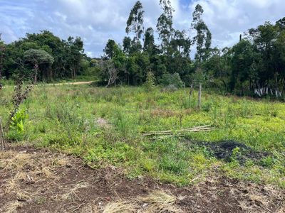 Terreno, 1300 m² - Foto 2