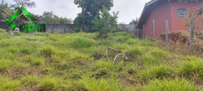 Terreno, 361 m² - Foto 3