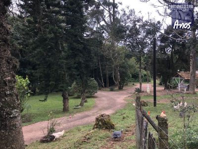 Sítio, 1 quarto, 12 hectares - Foto 1