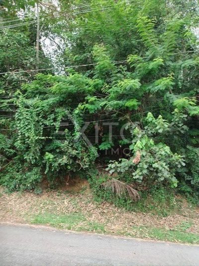 Terreno, 1040 m² - Foto 2
