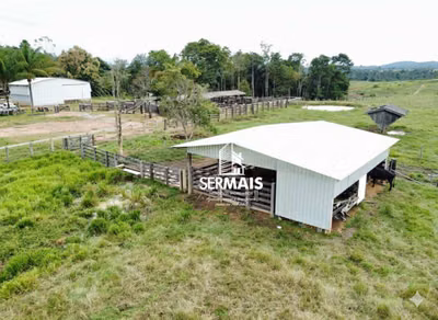 Fazenda, 136125 hectares - Foto 3