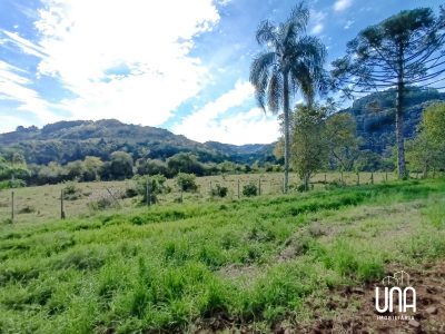 Sítio, 2 hectares - Foto 1