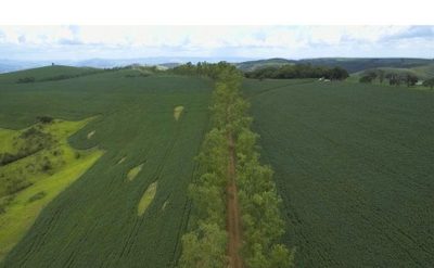 Fazenda, 1283 hectares - Foto 4