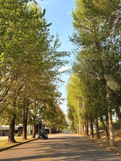 Terreno, 1000 m² - Foto 1