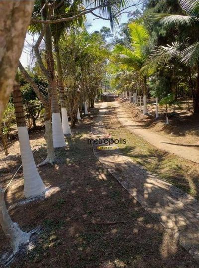 Terreno, 3 hectares - Foto 1