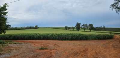 Chácara, 1 quarto, 210 hectares - Foto 1