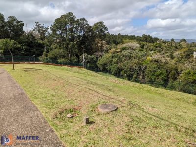 Terreno, 574 m² - Foto 3