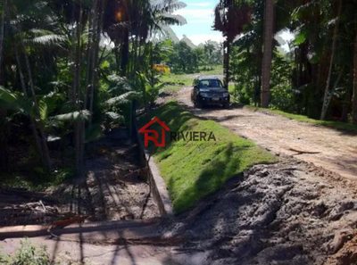 Terreno, 8 hectares - Foto 4