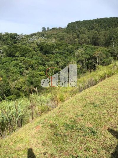 Terreno, 31 hectares - Foto 1