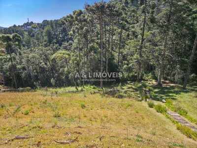 Terreno, 1146 m² - Foto 4