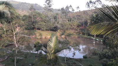 Sítio, 3 quartos, 113 hectares - Foto 2