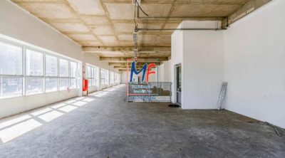 Loja-Salão, 430 m² - Foto 3