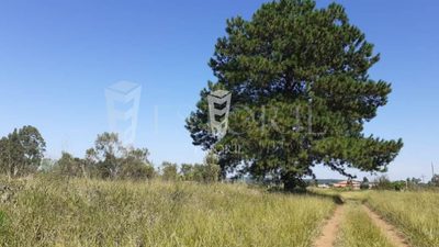 Terreno, 1250 m² - Foto 3