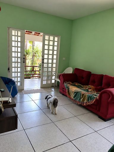 Chácara, 3 quartos, 5000 m² - Foto 4