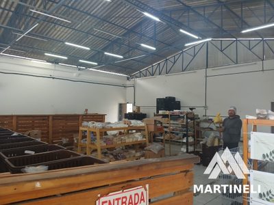 Depósito-Galpão, 450 m² - Foto 3