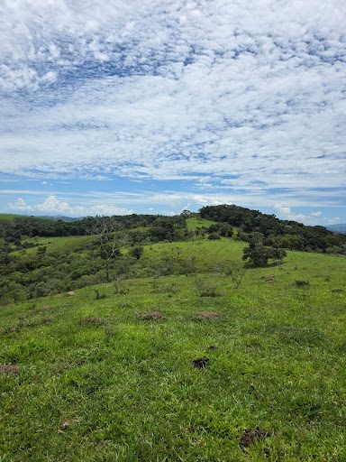 Terreno, 2 hectares - Foto 3