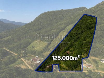 Sítio, 9 quartos, 13 hectares - Foto 1