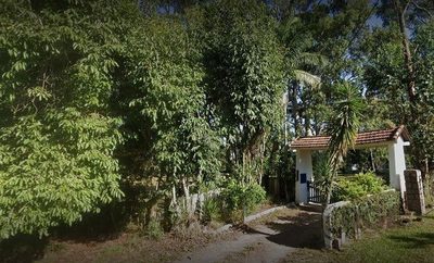 Fazenda, 6 hectares - Foto 2