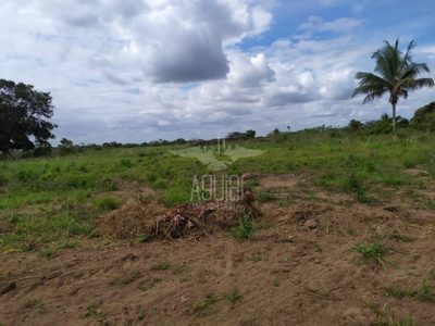 Terreno, 3 hectares - Foto 4