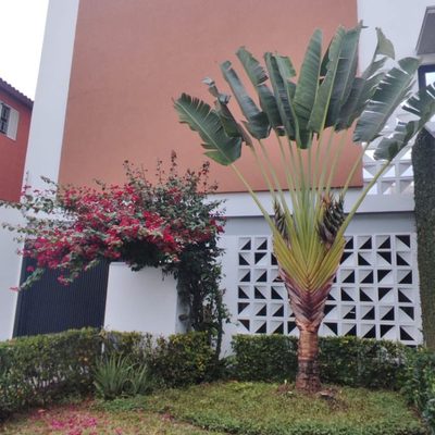Casa, 3 quartos, 141 m² - Foto 4