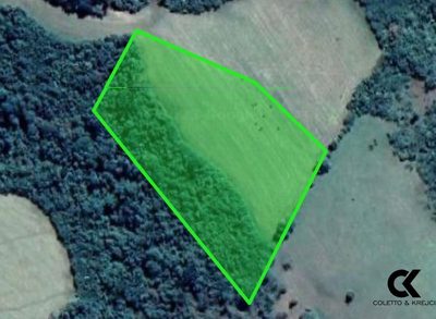 Chácara, 3 hectares - Foto 1