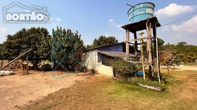 Casa, 4 quartos, 120 m² - Foto 5