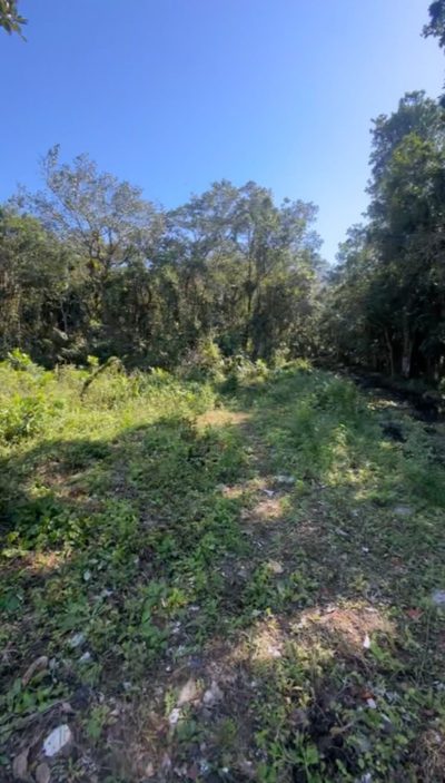Terreno, 230 m² - Foto 1